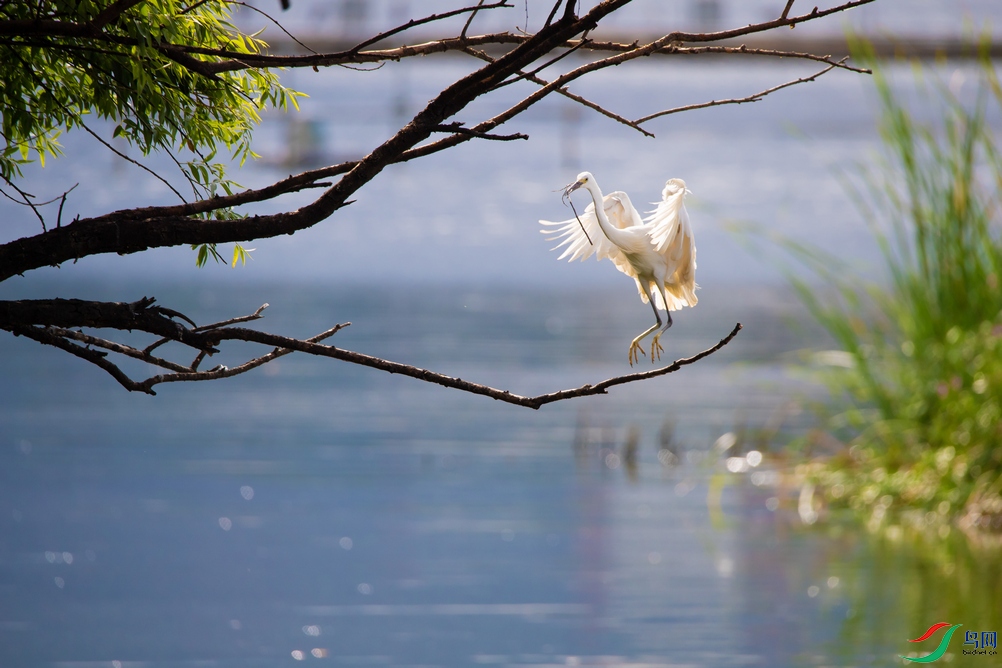 DSC_5376a.jpg