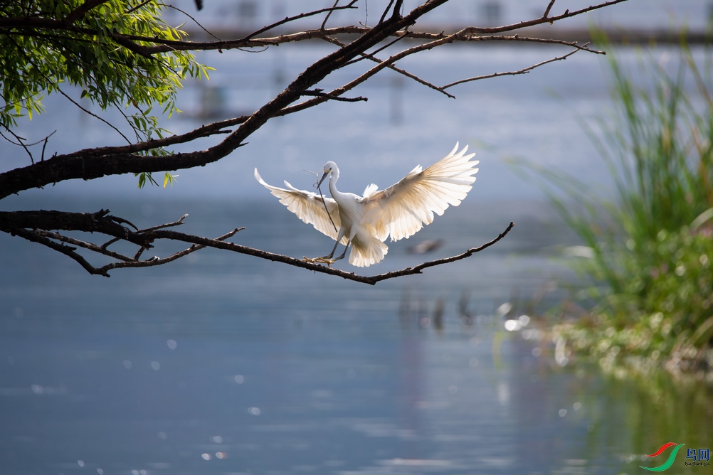 DSC_5380a.jpg