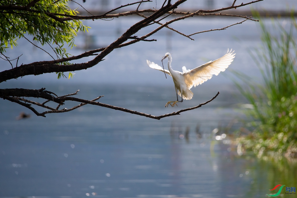 DSC_5377a.jpg