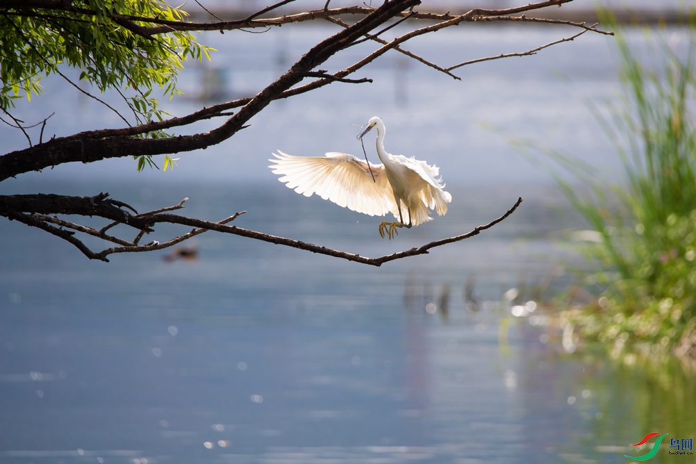 DSC_5378a.jpg