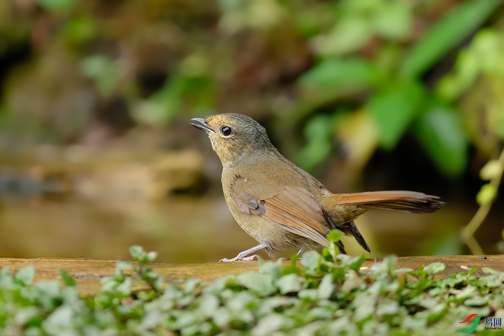 DSC_6010_DxOa.jpg