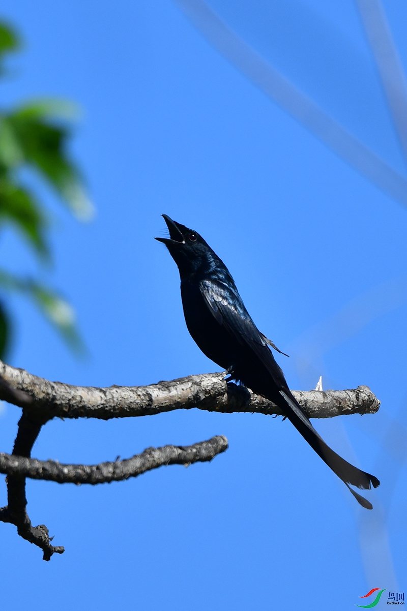DSC_4989.jpg