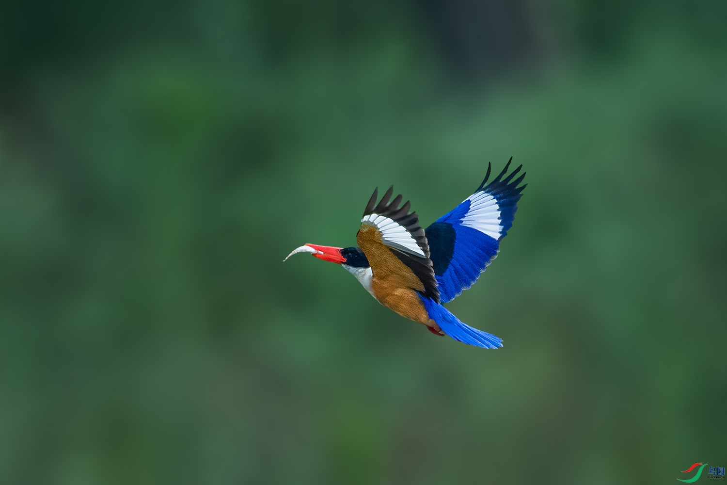 DSC_5325-2.jpg