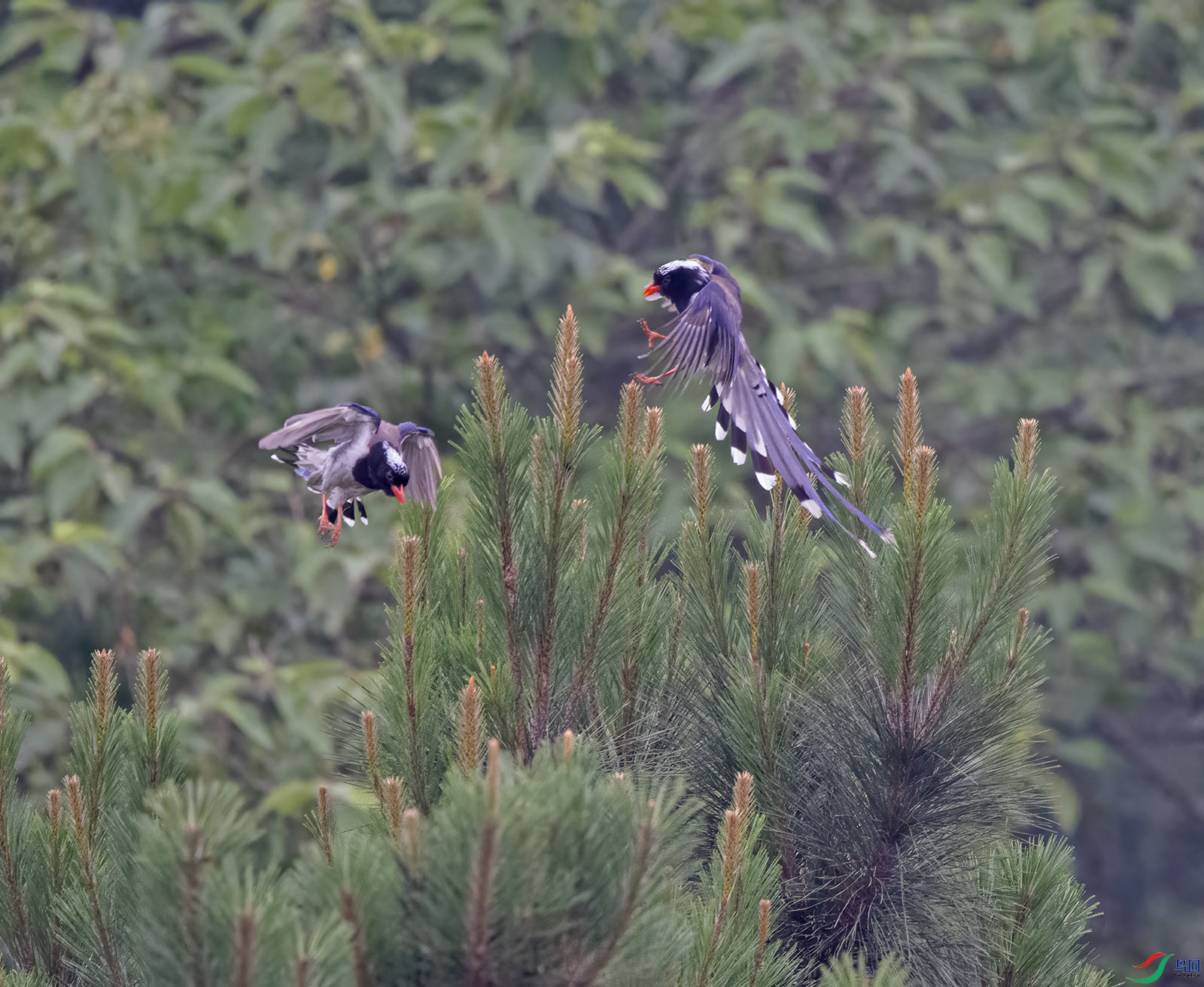 DSC_5665.jpg