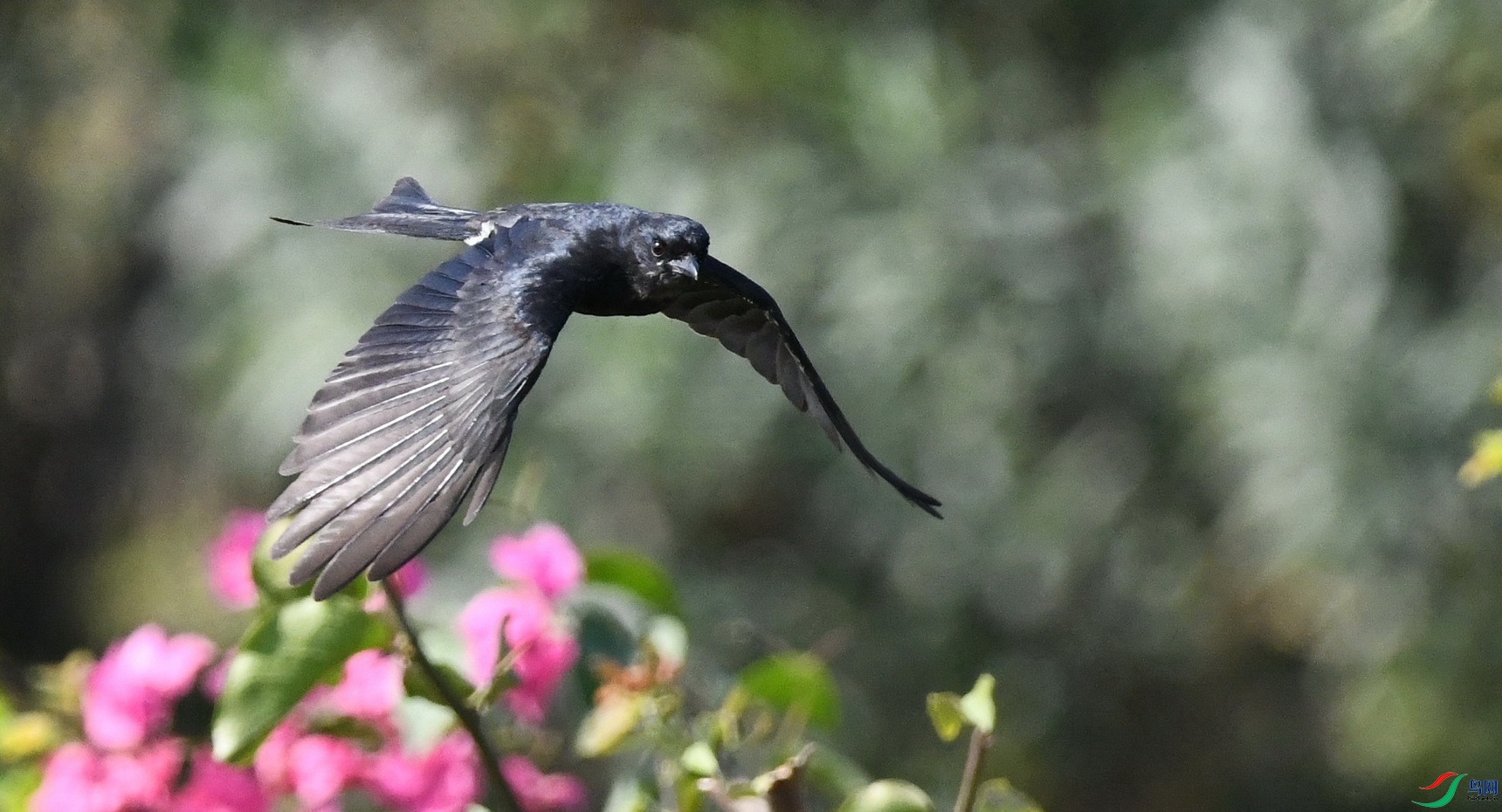 DSC_5518.JPG