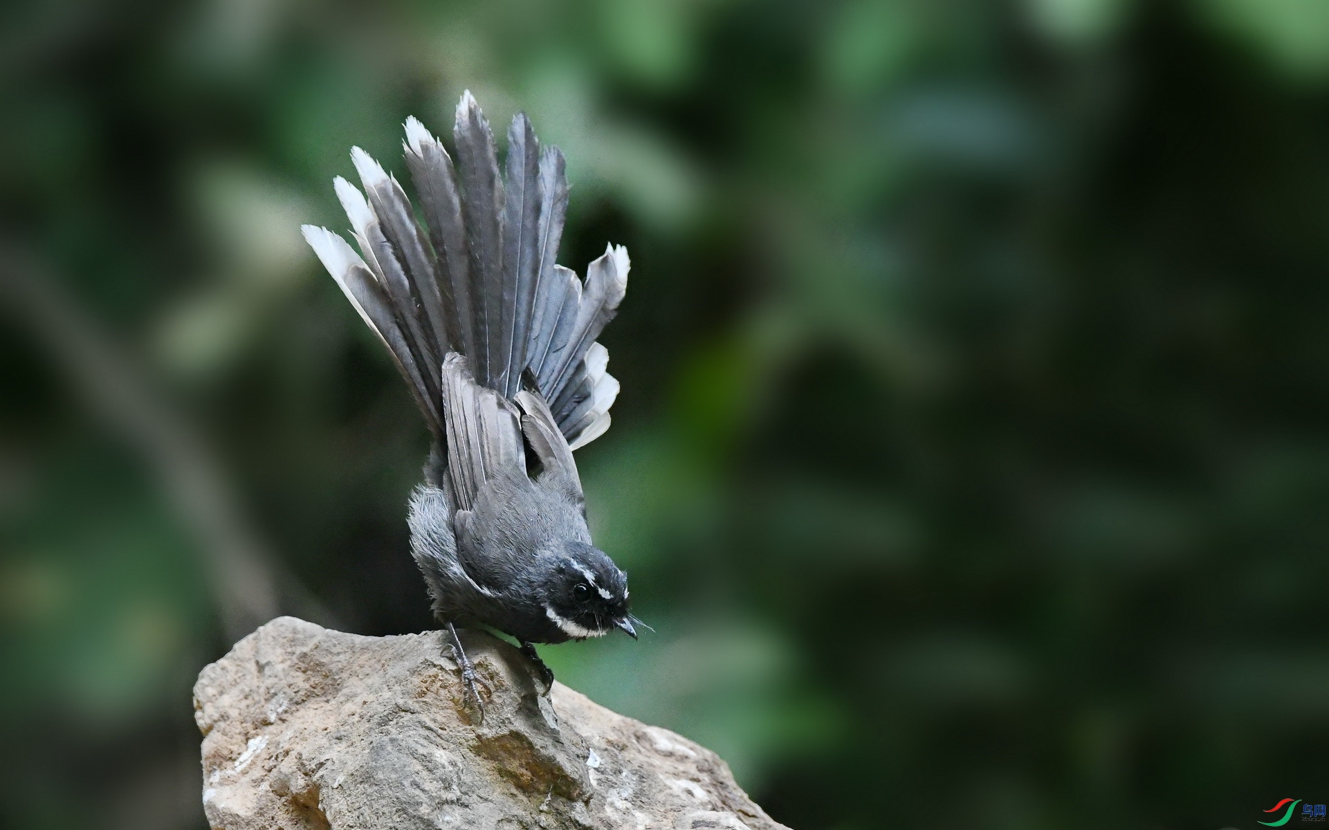 DSC_7266.JPG