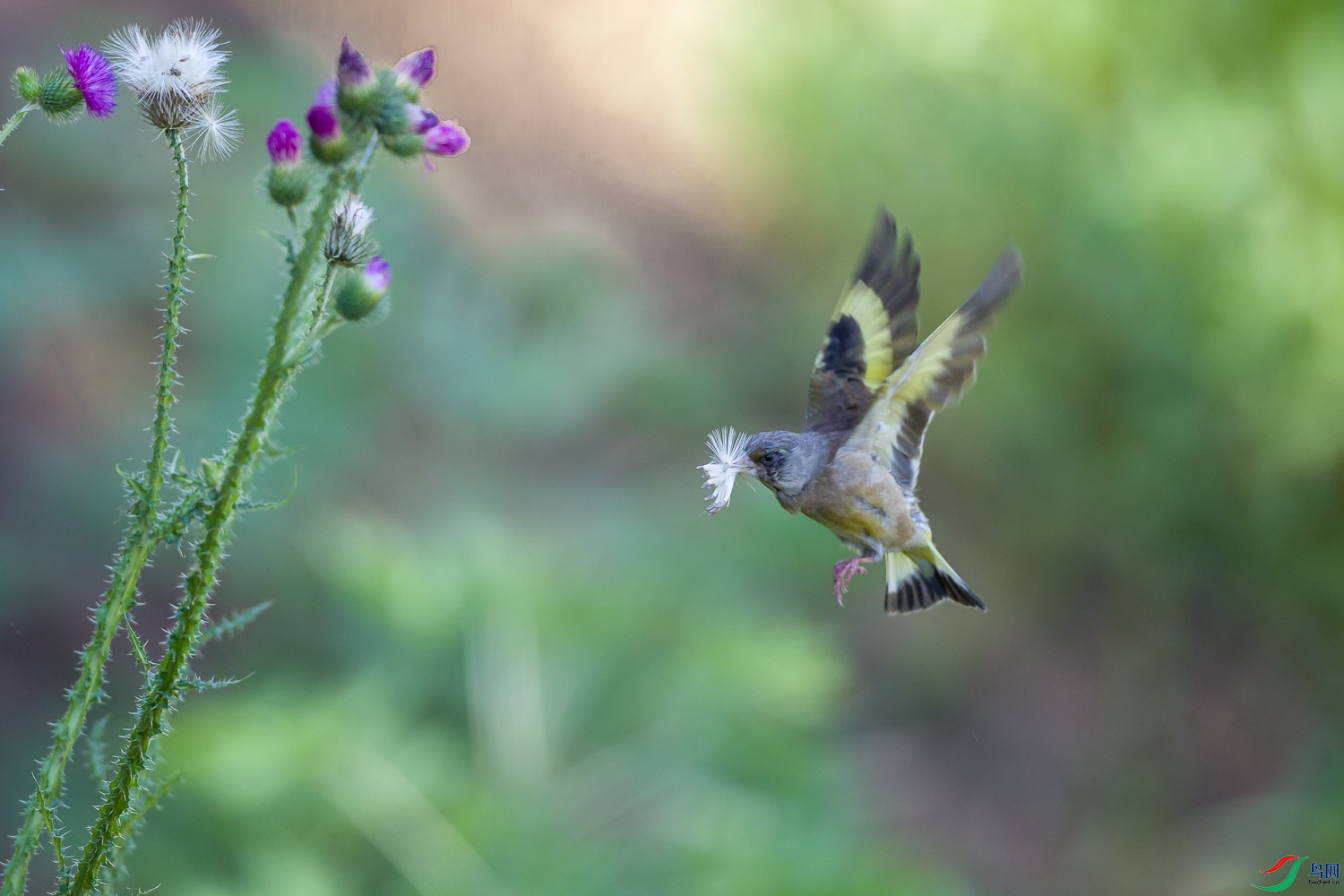 _90I8349.jpg