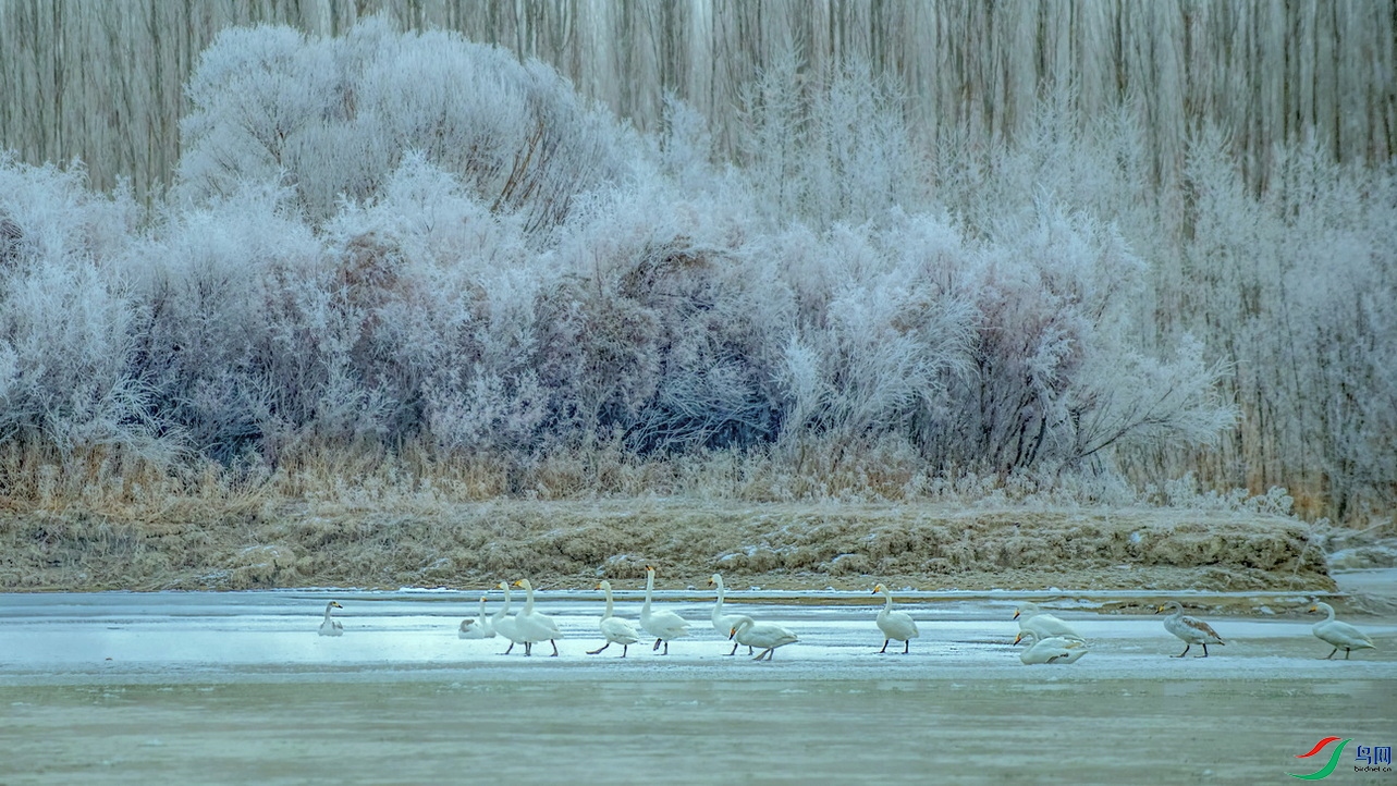 DSC_1719B1F01A.jpg