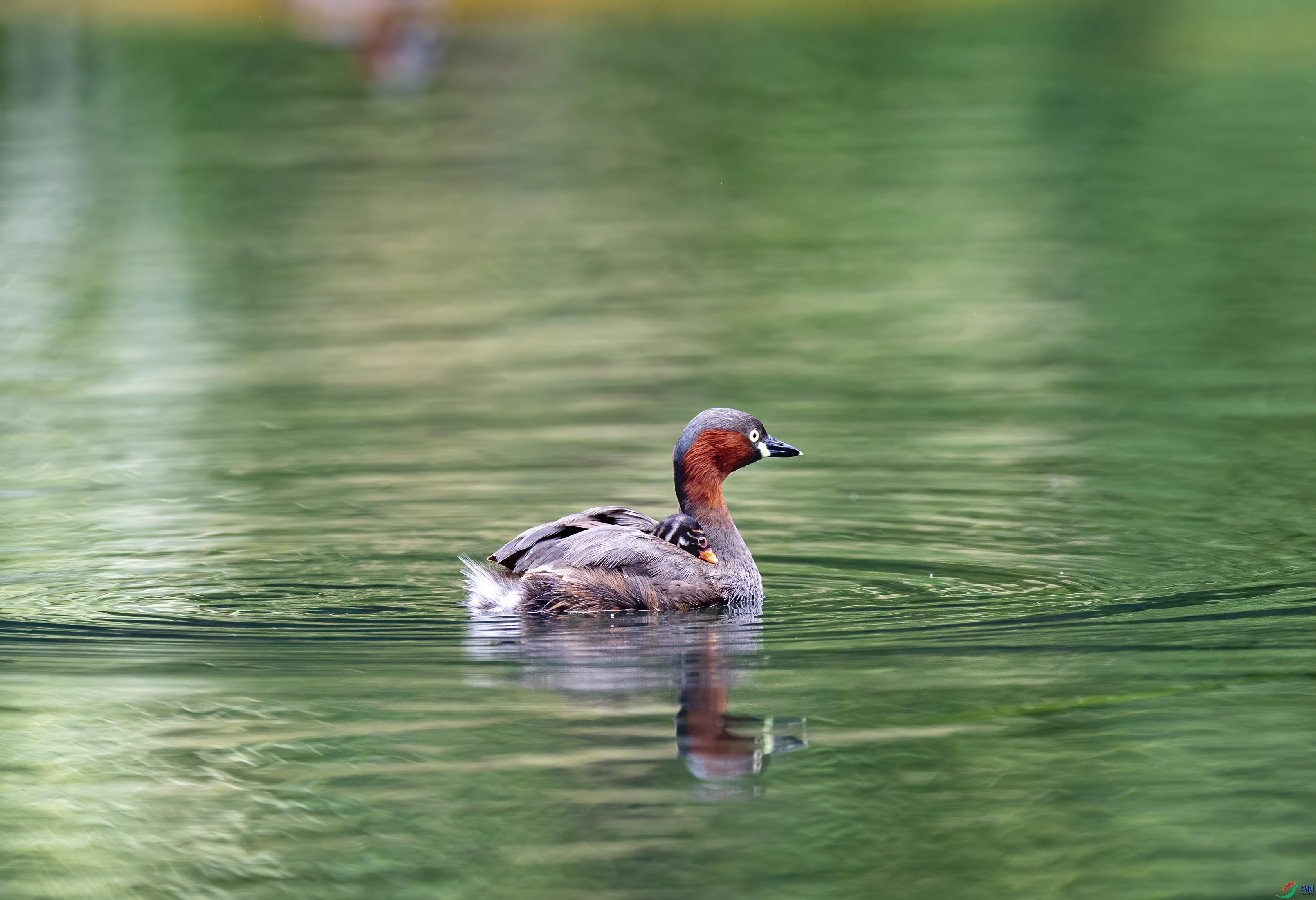 DSC_6910.jpg