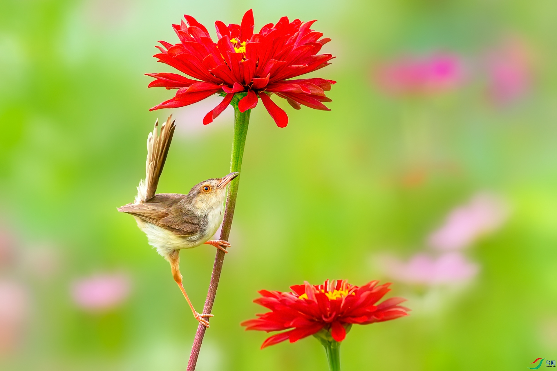 CI7U9156-8.jpg