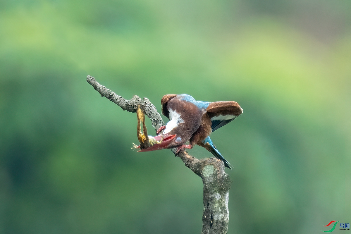 DSC07291-1.jpg
