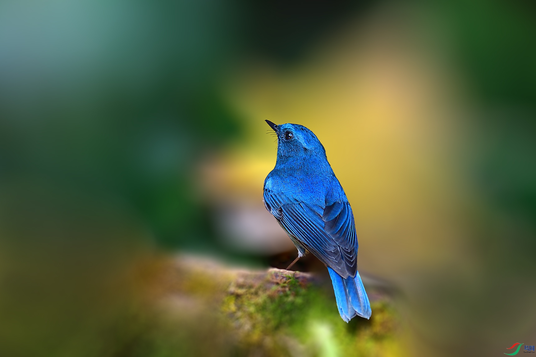 DSC_2188_00001.jpg