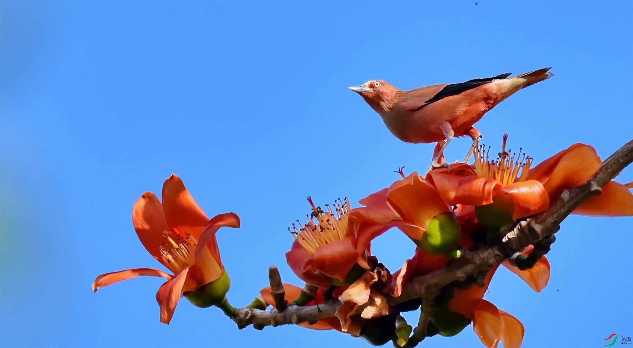 DSC_1799a.JPG