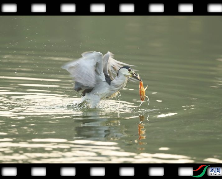 ���� 301.jpg