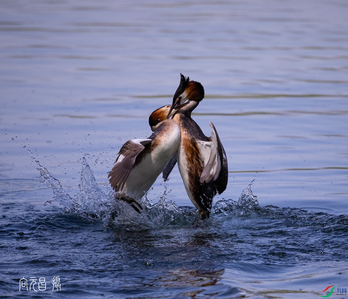 817A7435-1a-1b.jpg