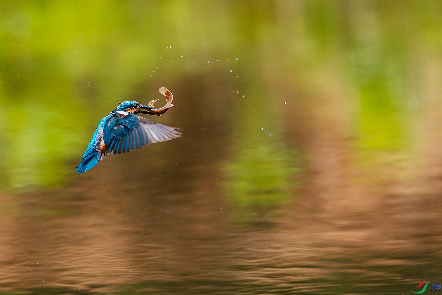 DSC_6260-2.jpg