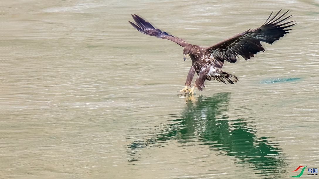 ��β������