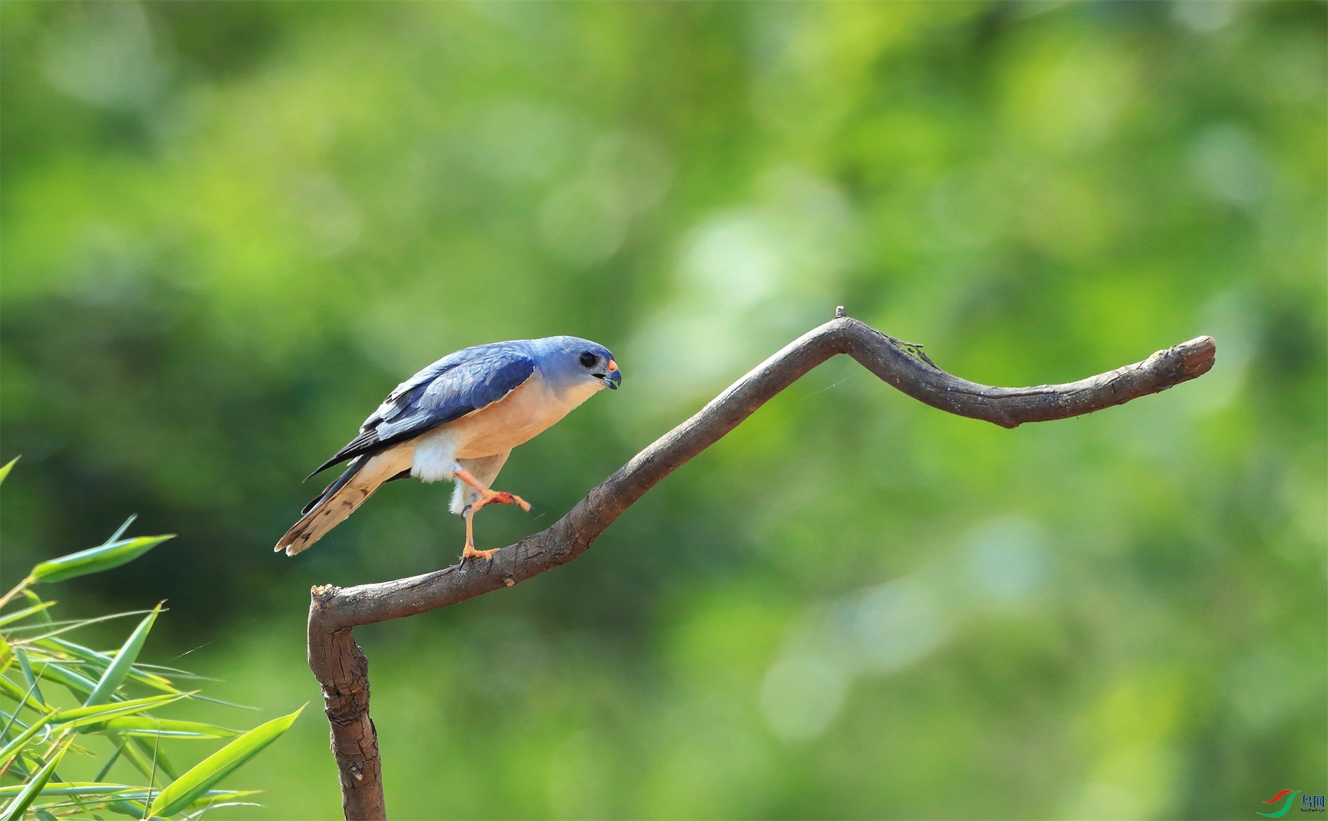 11 - ���� (2).jpg