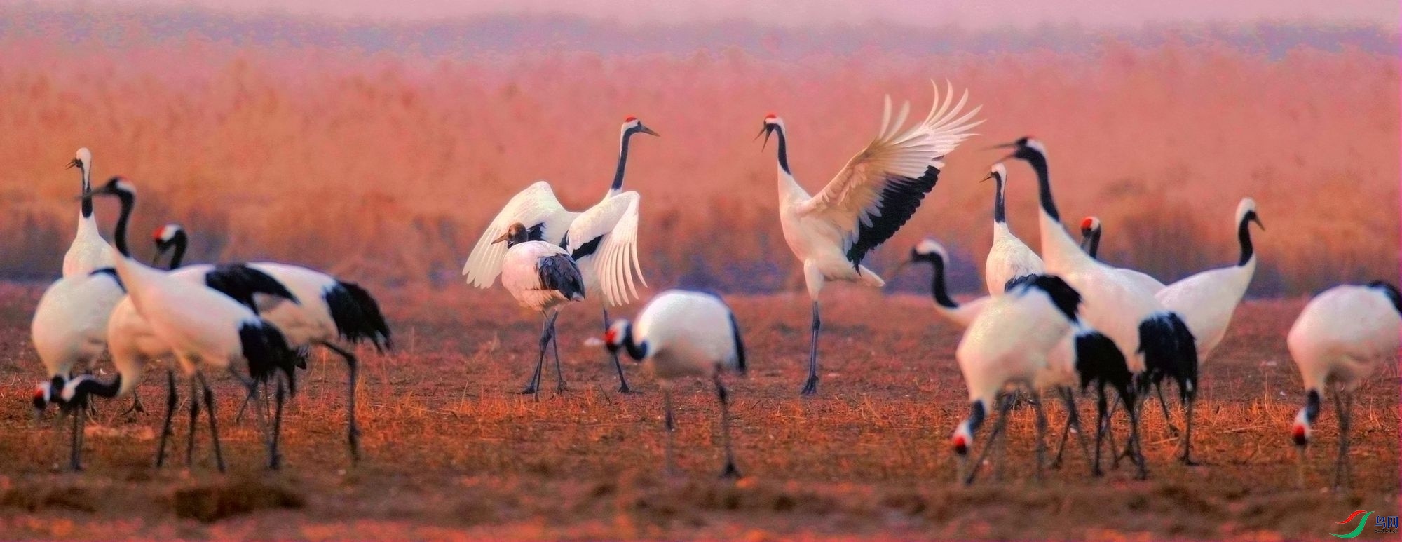 AK2Y5956_2000 2_����.jpg