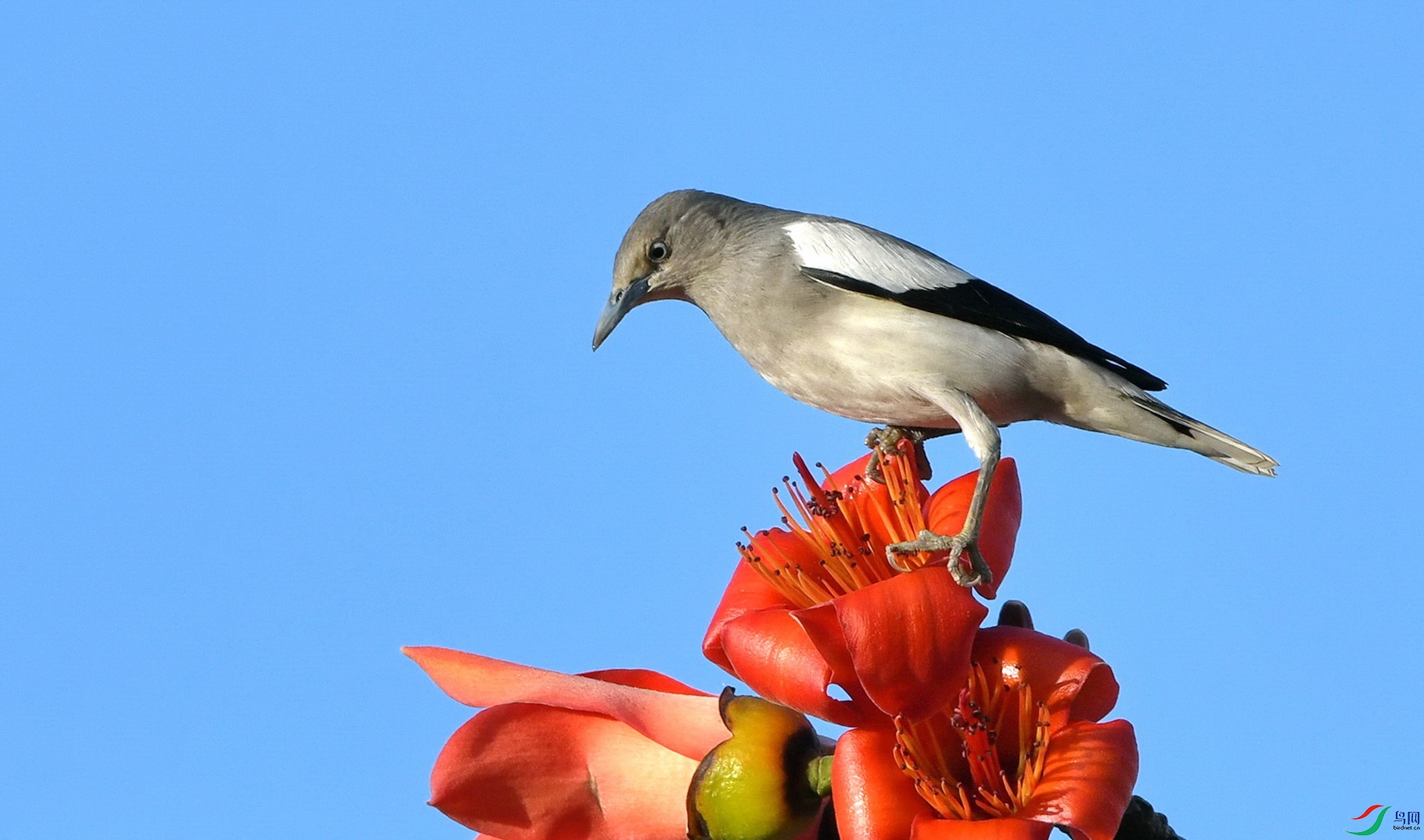 DSC_9702a.jpg