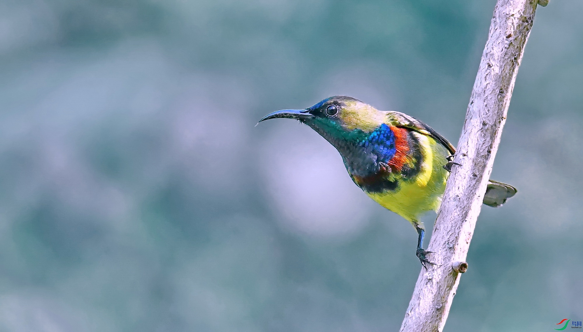 DSC_6152a.jpg