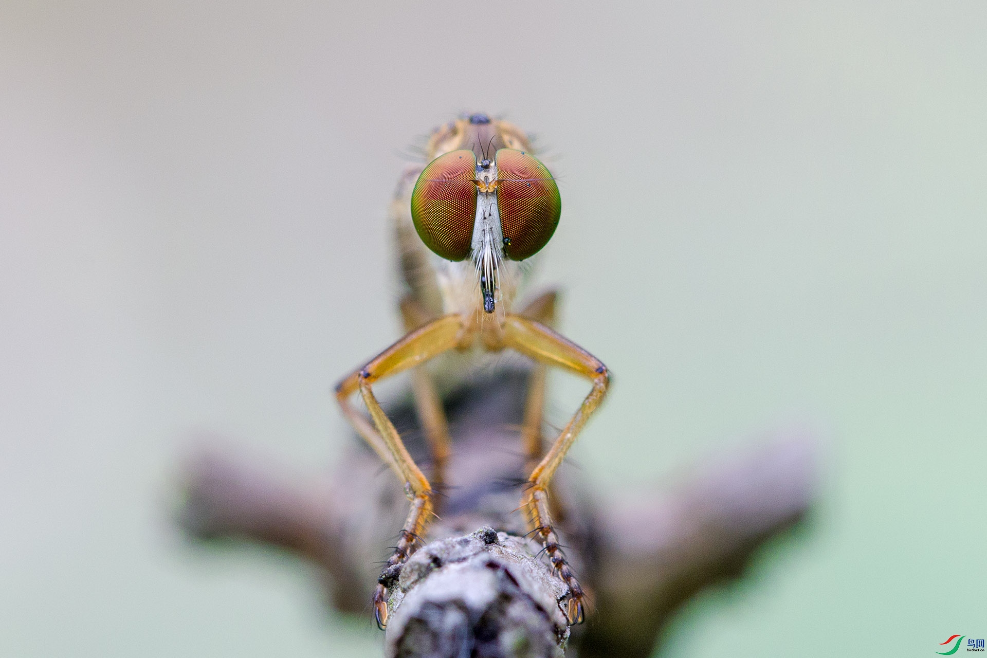051A9756-2.jpg
