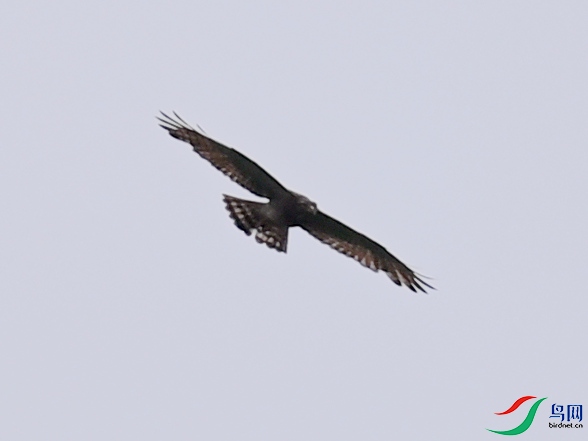 DSC_8415.JPG