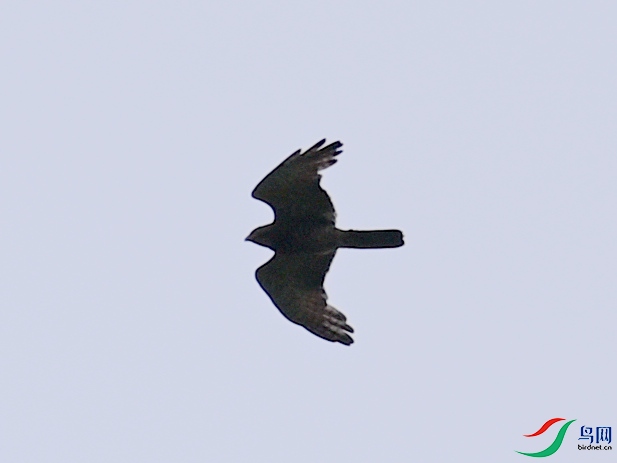 DSC_8519.JPG