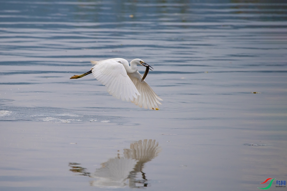 DSC_5393a.jpg