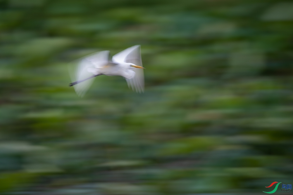 DSC_5423a.jpg