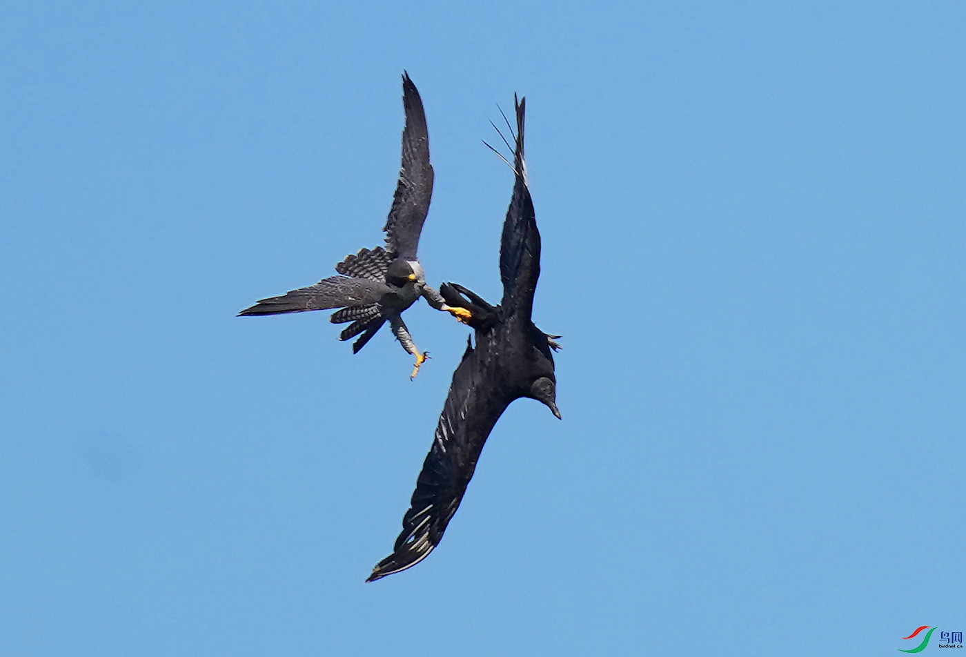 DSC08695----.jpg