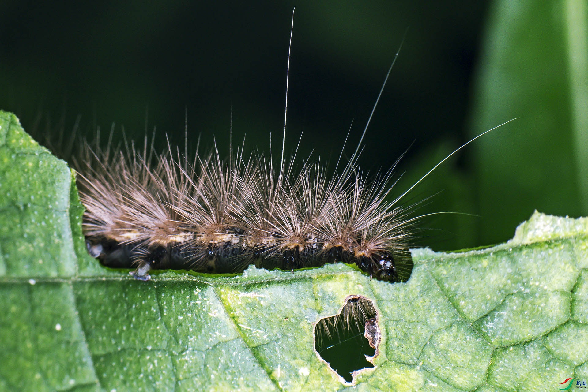 DSC_5444.jpg