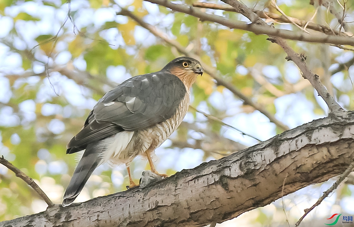 ���� (4)����.jpg