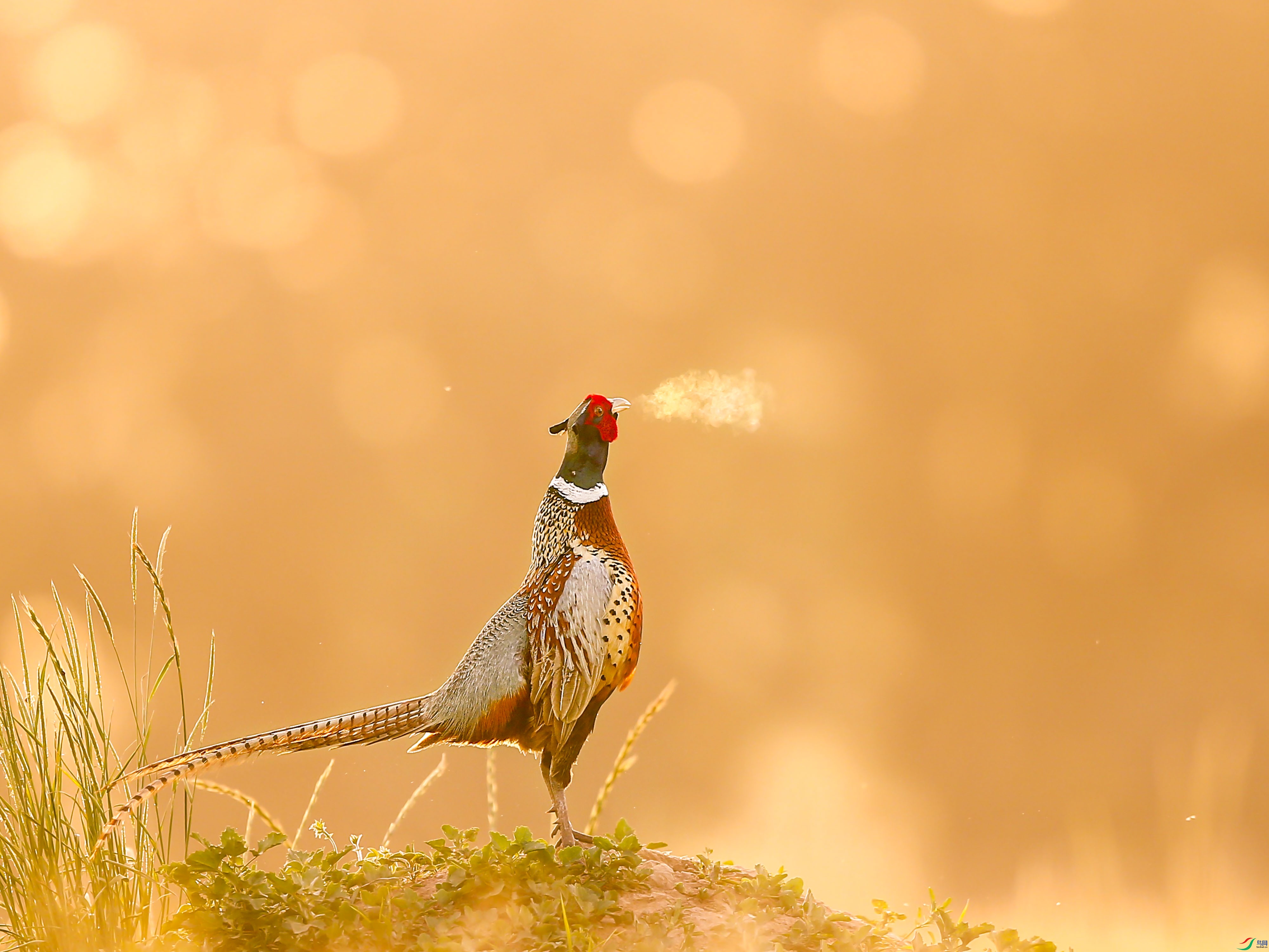 _54I1956_��ͼ��_1 - ����.jpg