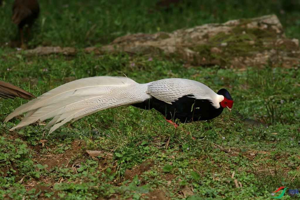 367A6905_����.jpg