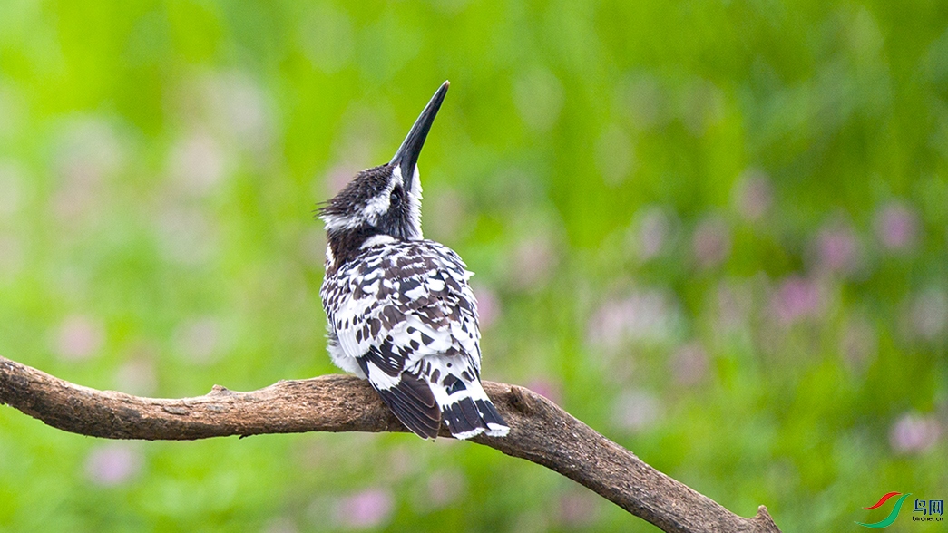 ��DSC_0007.jpg
