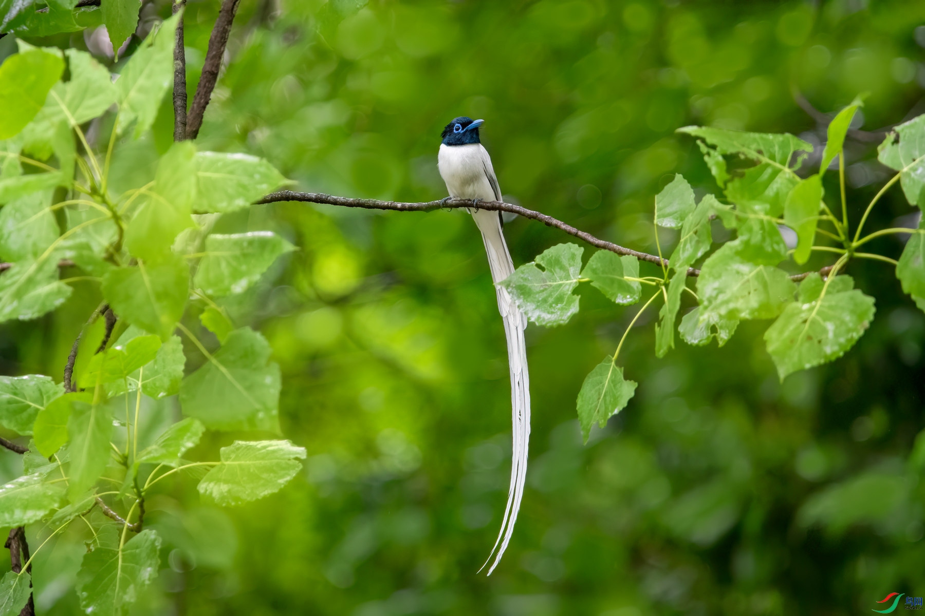 DSC_0486_����.jpg
