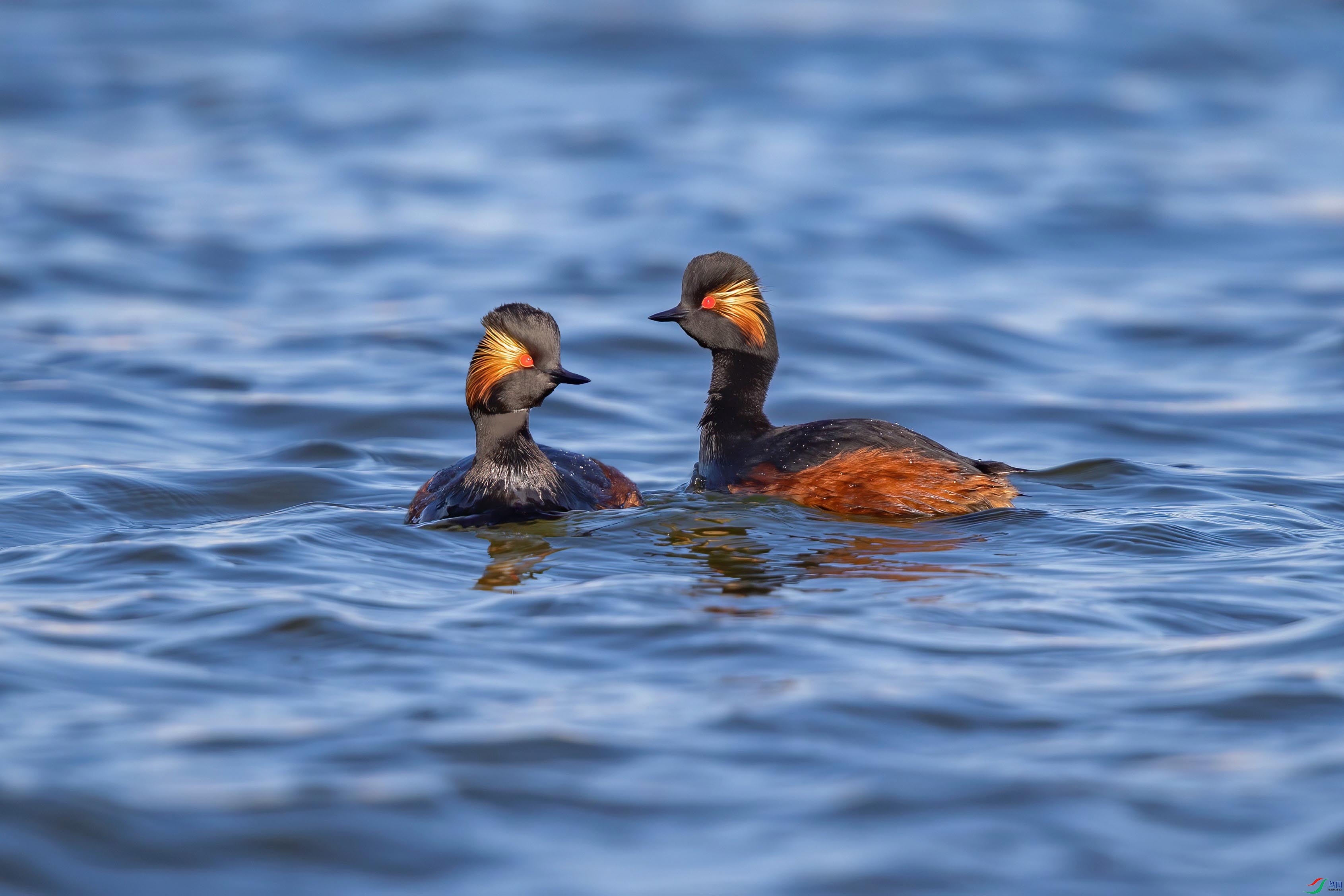 A95I2014 ���� 3.jpg