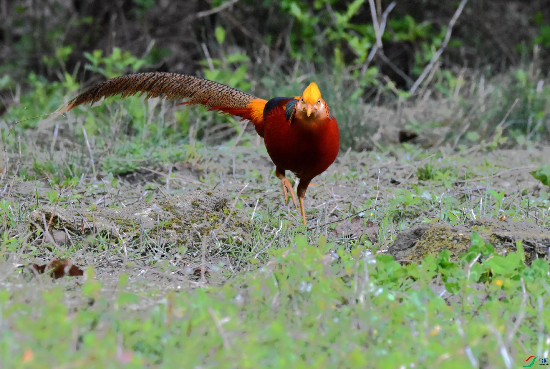DSC_8566.JPG