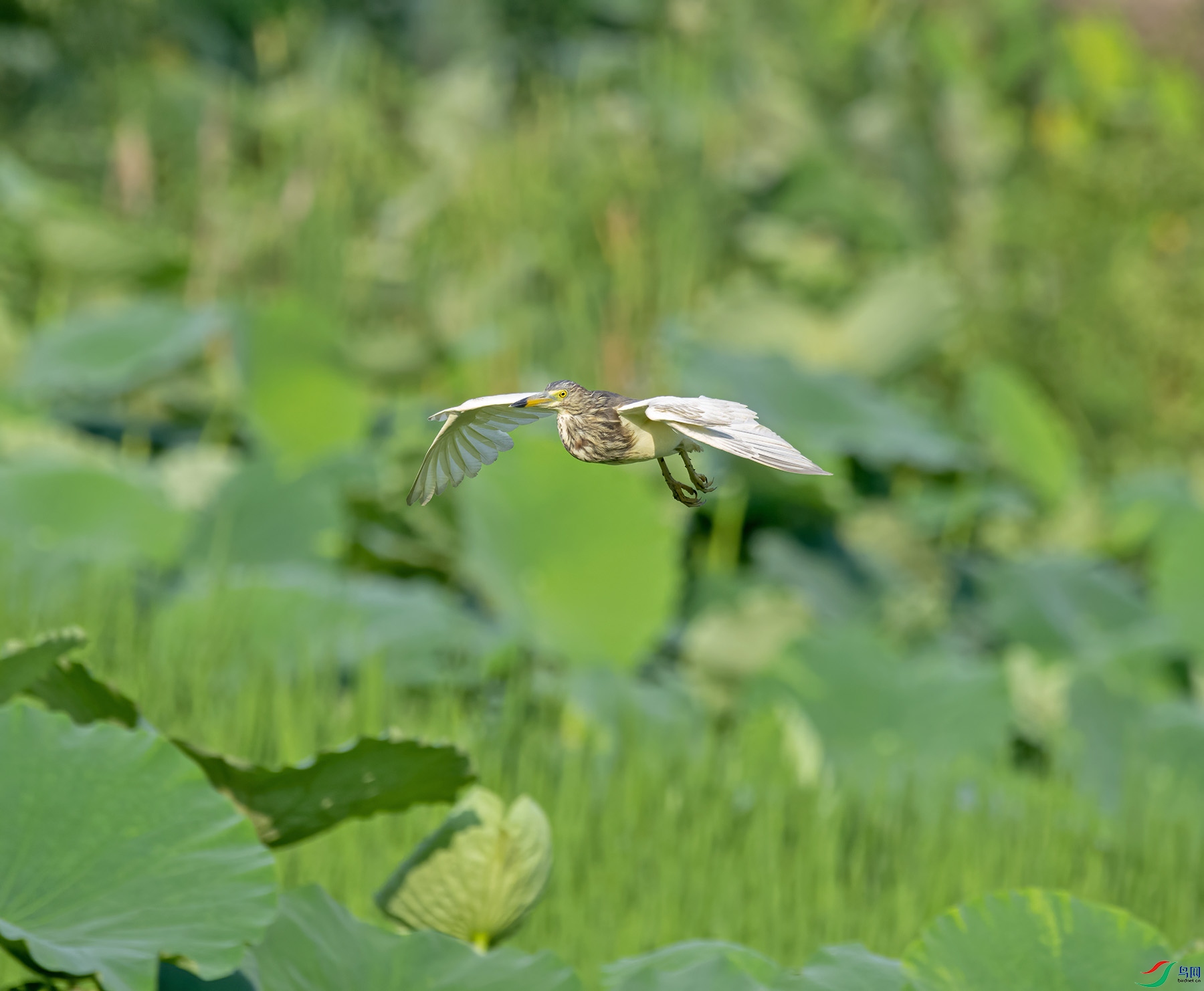 DSC_8305.jpg