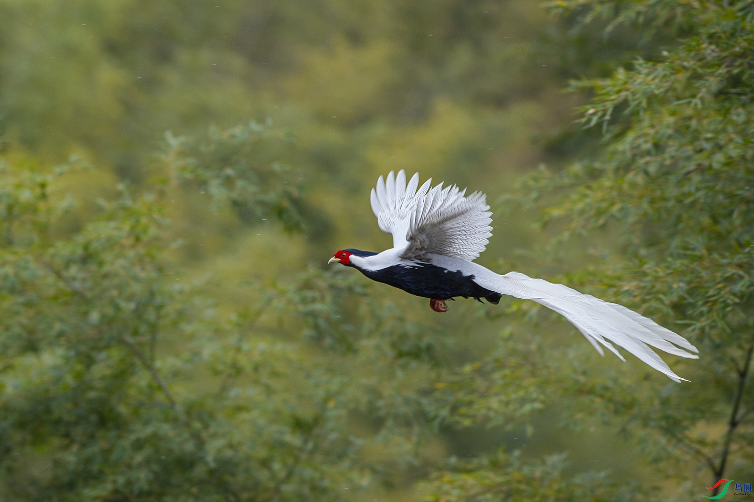 _DSC1762_��ͼ��.jpg