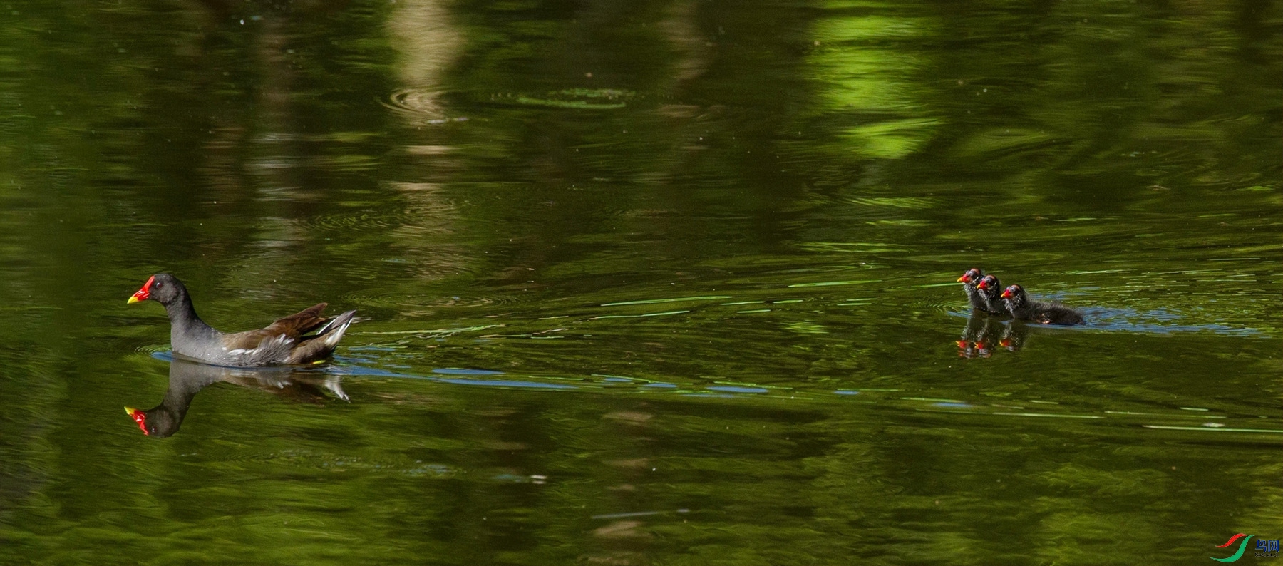 ��Ƕ��� (5).jpg