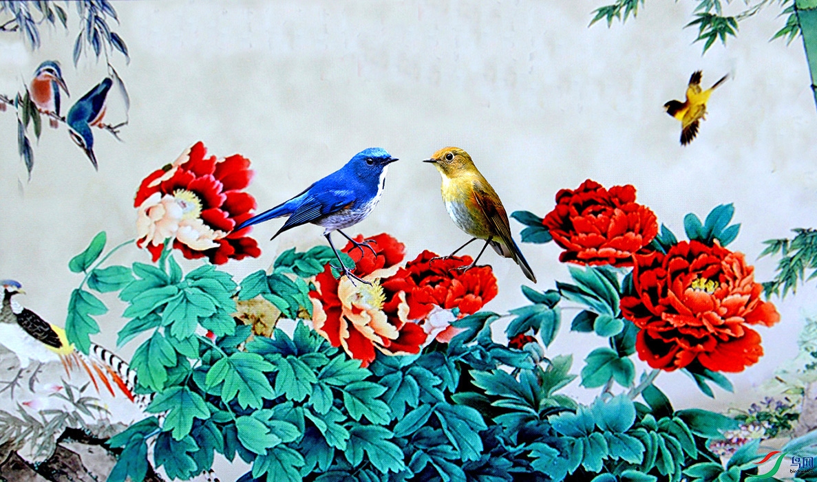 5.������ͼ-��в��β� 3646AM2.jpg