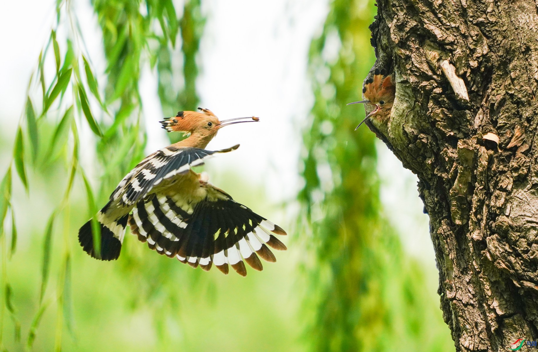 7 DSC01653��_����.jpg