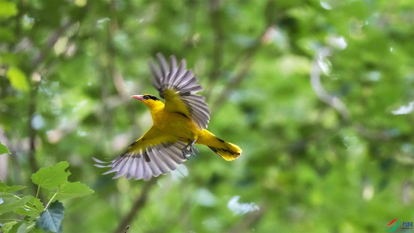 DSC00364.jpg