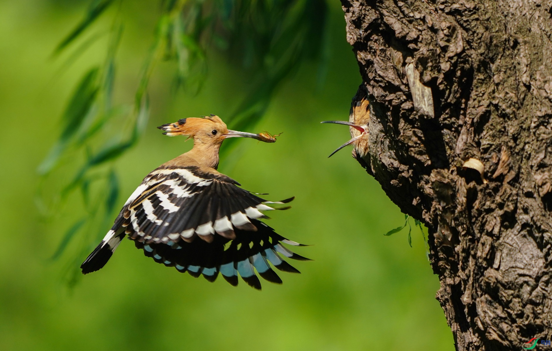 2 DSC01927,_����.jpg