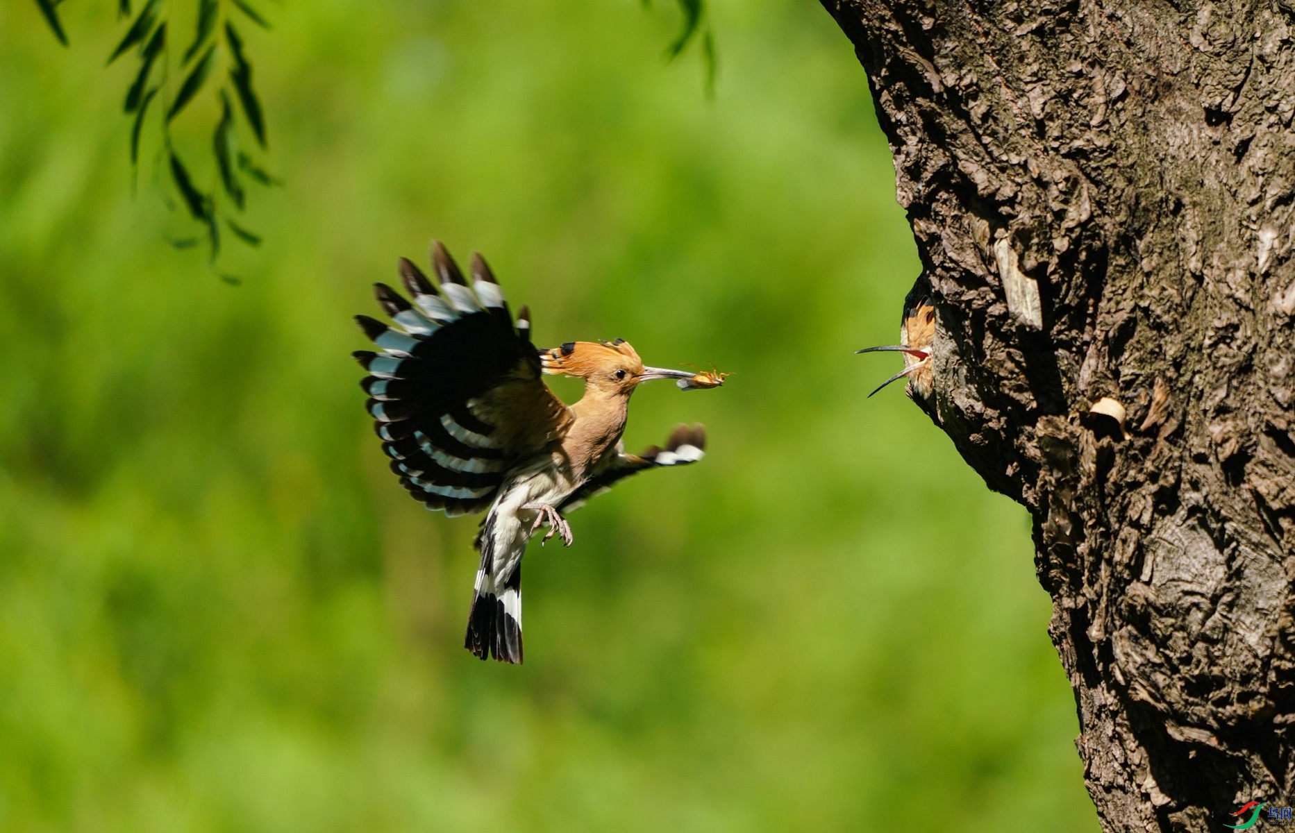 1 DSC01827_����.jpg