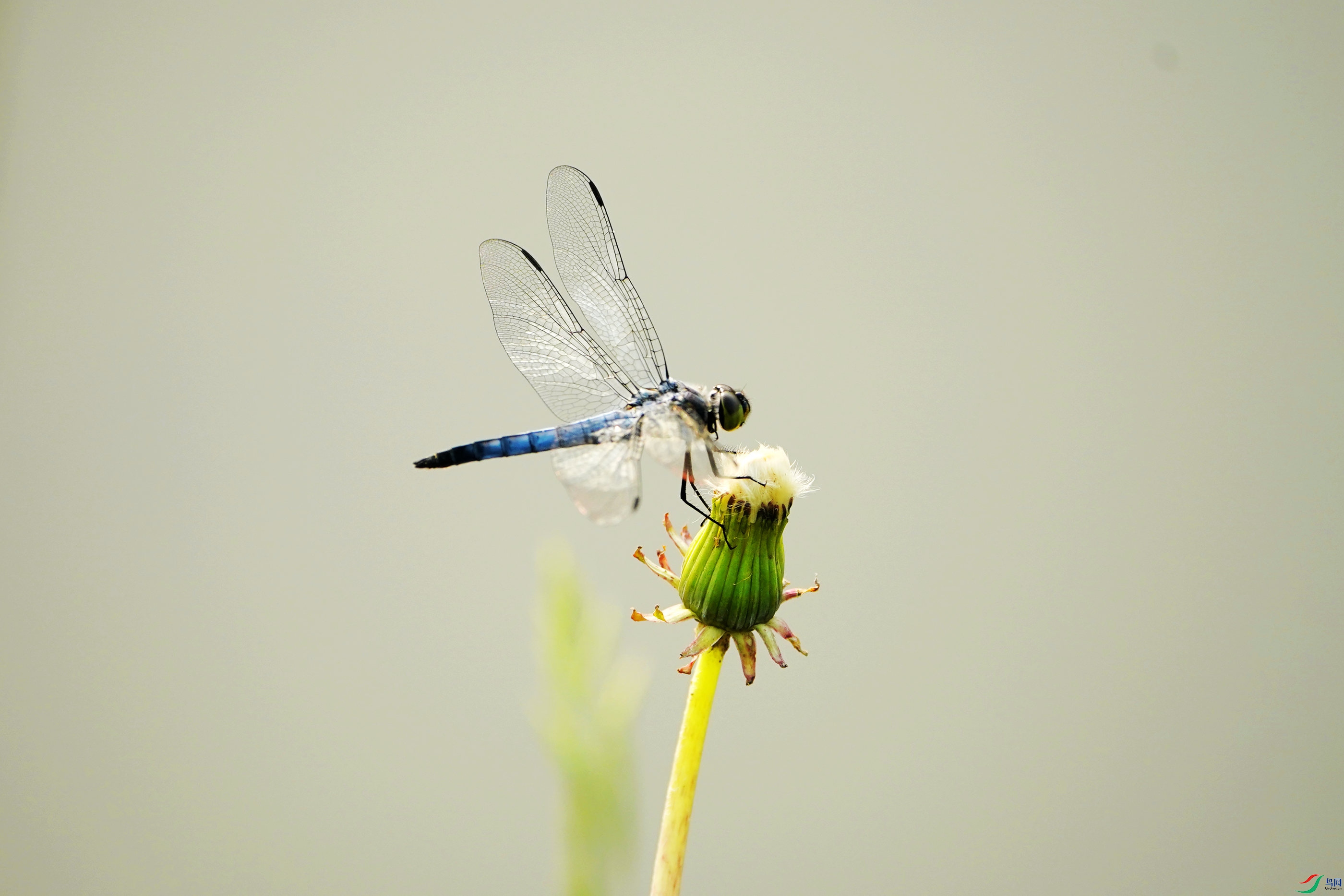 DSC00350_����.jpg