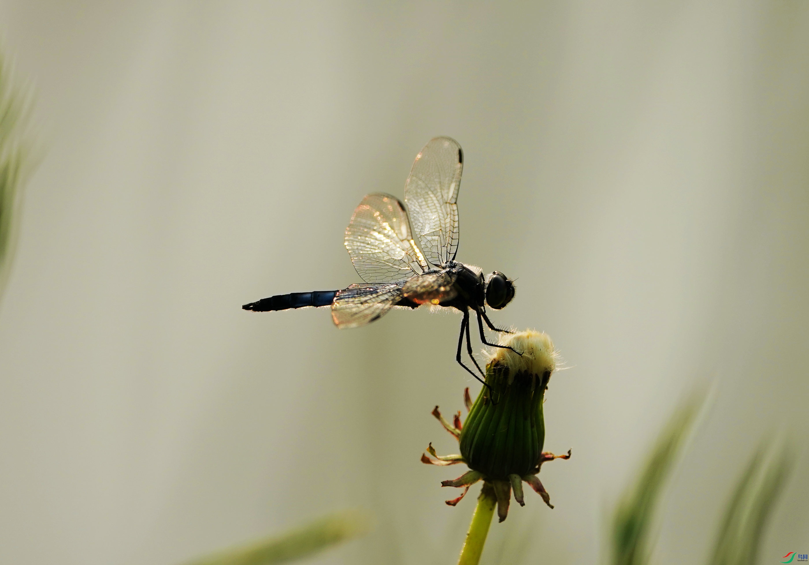 DSC00366_����.jpg