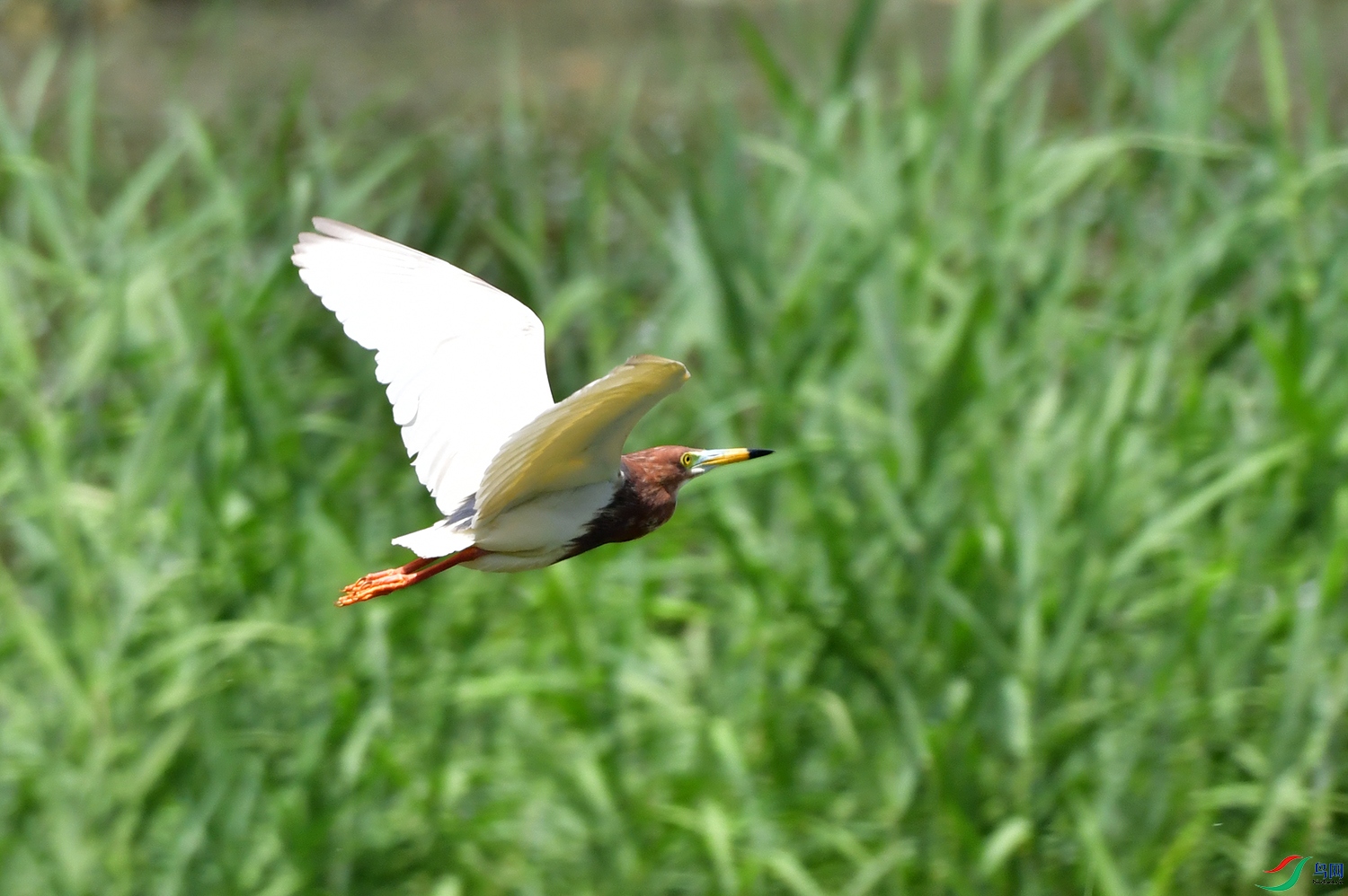DSC_5651.jpg
